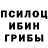 Псилоцибиновые грибы Psilocybe Shaker Alhsamy