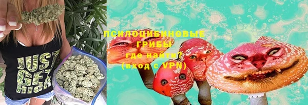 тгк Алзамай