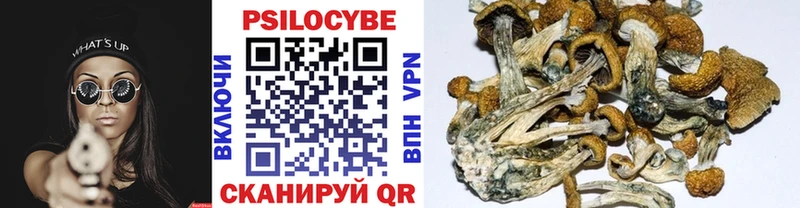 купить наркотик  Макушино  Галлюциногенные грибы мухоморы 
